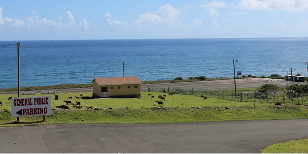 Nevis Triathlon