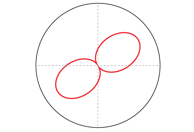 Wattbike Polar View - Foundation
