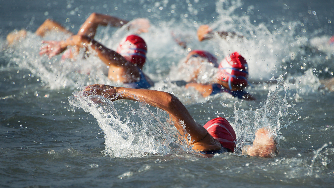 Sighting in choppy open water swims