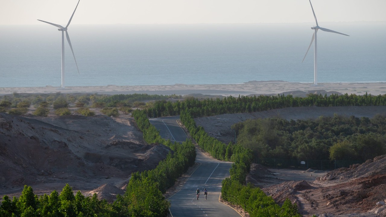 challenge-family-sir-bani-yas