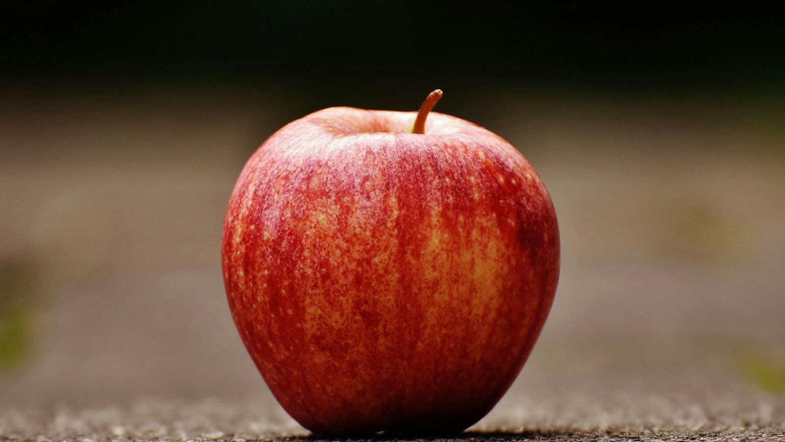 PIC 1 WHAT TO EAT Eating healthy foods like apples is important for triathletes to fuel their body before a race.